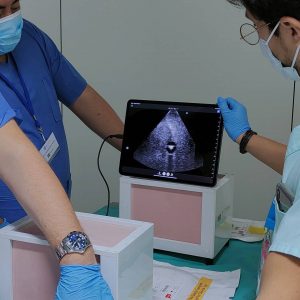 European School of Interventional Radiology (ESIR)