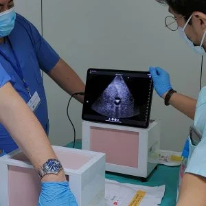 European School of Interventional Radiology (ESIR)
