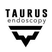 Taurus endoscopy