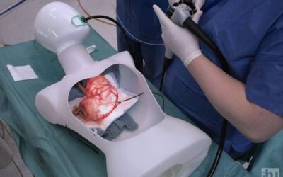 A Glimpse into the Latest Surgical Endoscopy Session at IHU Strasbourg