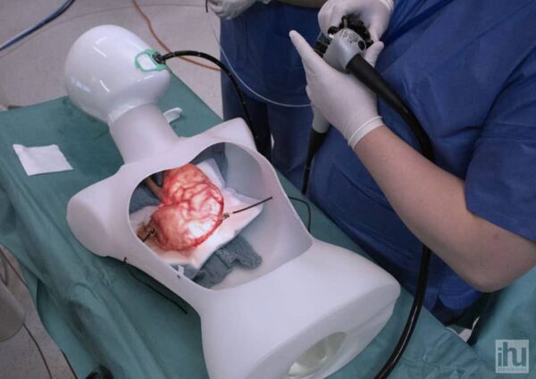 European Association of Endoscopic Surgery (EAES) - Image 3