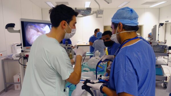 Inter-University Diploma (IUD) Bariatric surgery