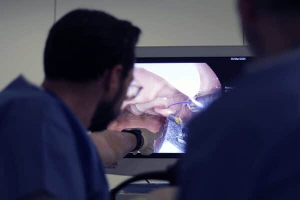 Inter-University Diploma (IUD) Bariatric surgery - Image 4