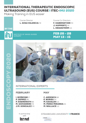INTERNATIONAL THERAPEUTIC ENDOSCOPIC ULTRASOUND (EUS) COURSE - ITEC-IHU 2020