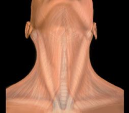 Hyperparathyroidism, Previous views 1