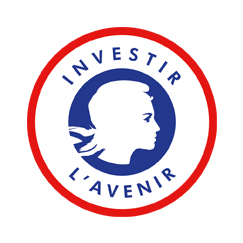 Program "Investment for the Future"
