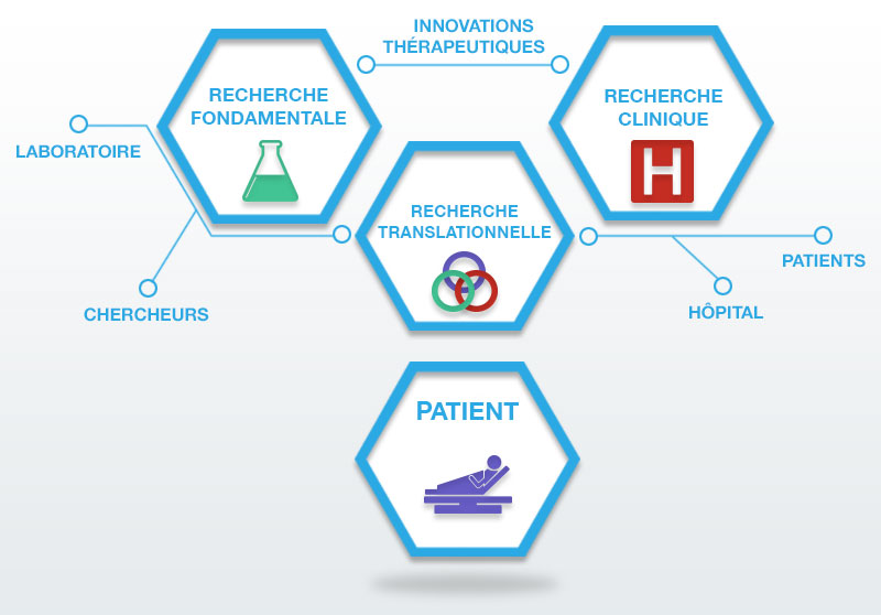Recherche translationnelle : De l'idée aux patients